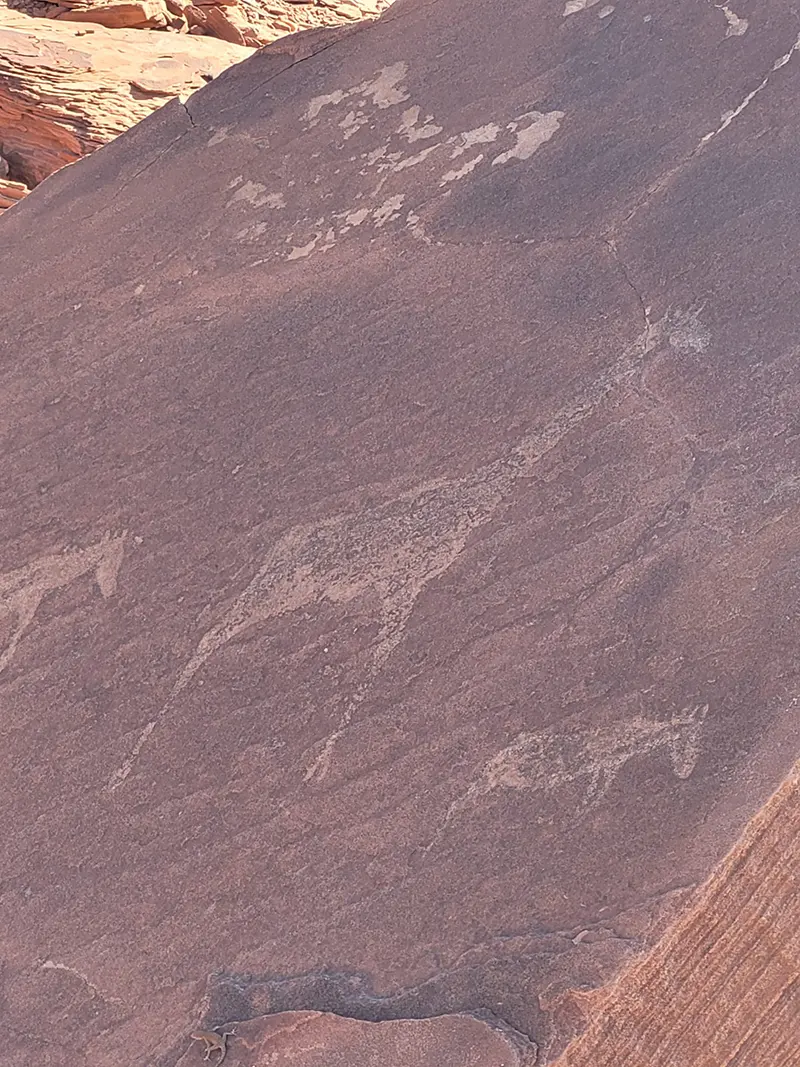 travel agency in namibia