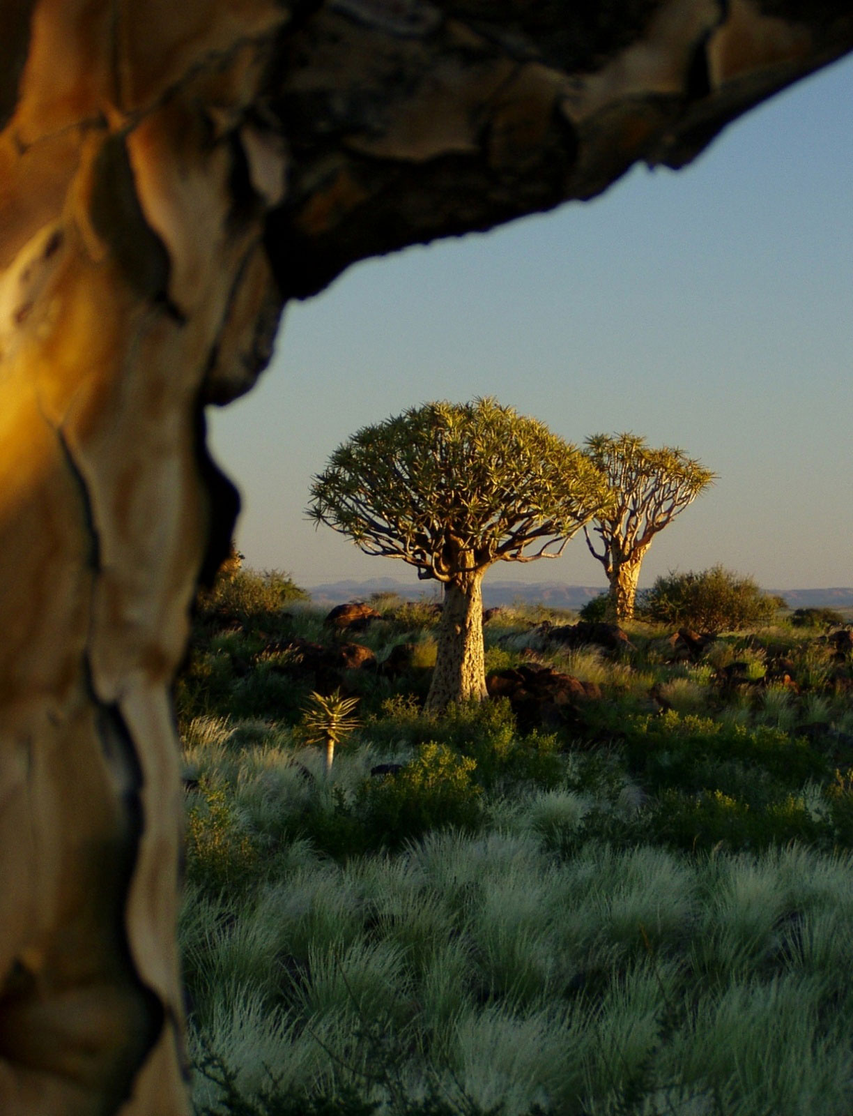 travel namibia christian